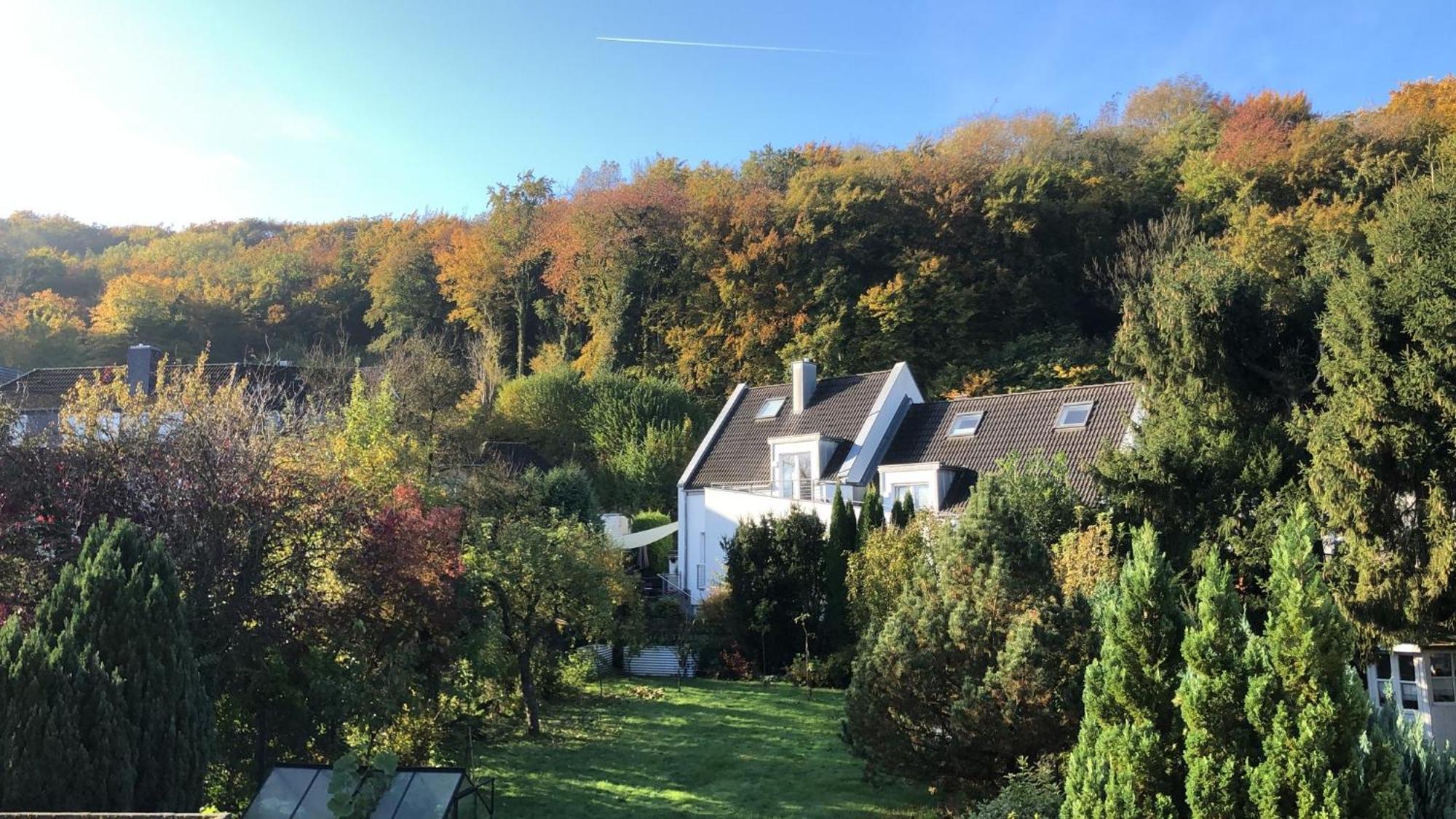 Ferienwohnung Am Schoelerberg Osnabrück Екстериор снимка